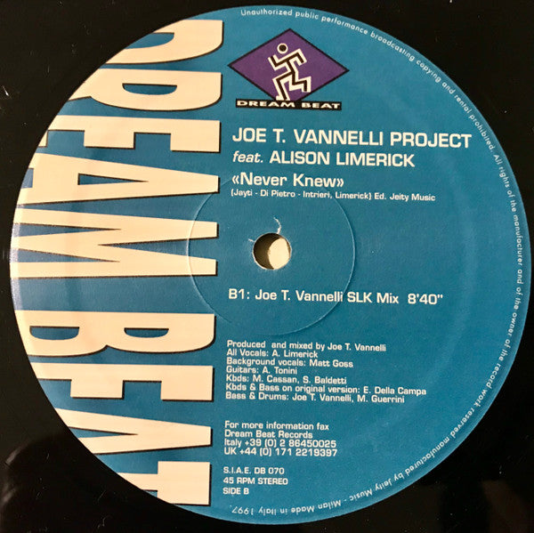 Joe T. Vannelli Project Feat. Alison Limerick : Never Knew (12")