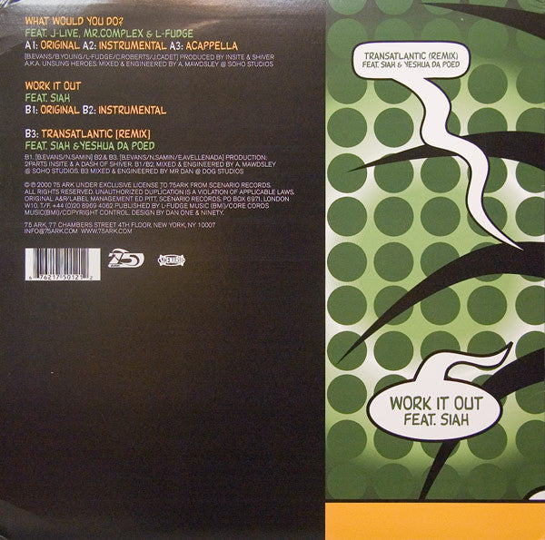 Unsung Heroes : What Would You Do? (12")