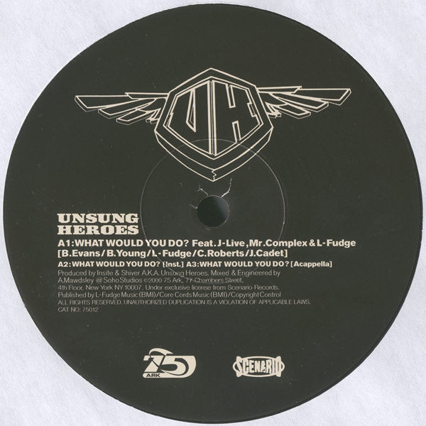 Unsung Heroes : What Would You Do? (12")
