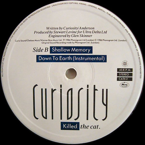 Curiosity Killed The Cat : Down To Earth (Extended Mix) (12" + 12", S/Sided, Single)