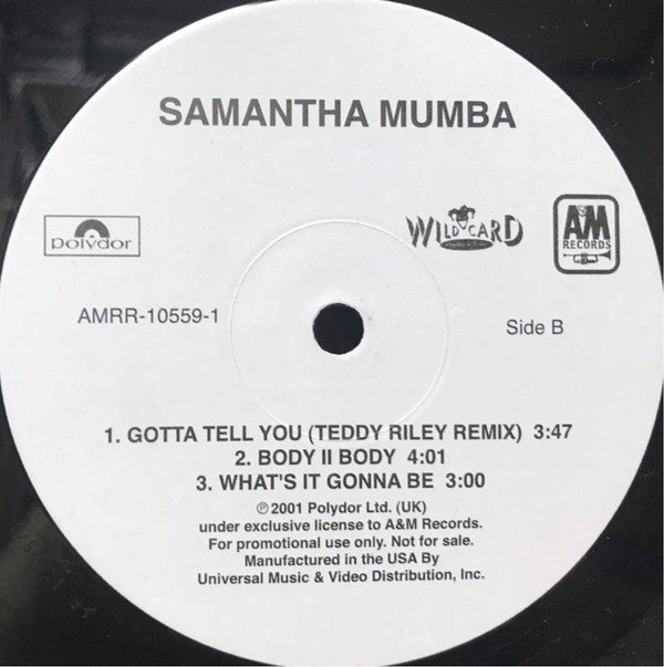 Samantha Mumba : Gotta Tell You (12", Promo)