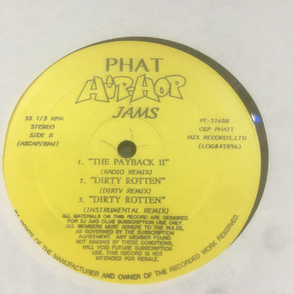 Unknown Artist : Phat Hip-Hop Jams (12")
