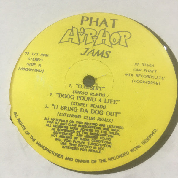 Unknown Artist : Phat Hip-Hop Jams (12")