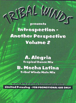 Antonio Ocasio : Introspection - Another Perspective Volume 2 (12", Ltd, Promo)