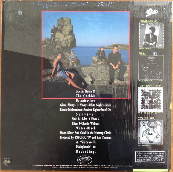 Psychic TV : Dreams Less Sweet (LP, Album)