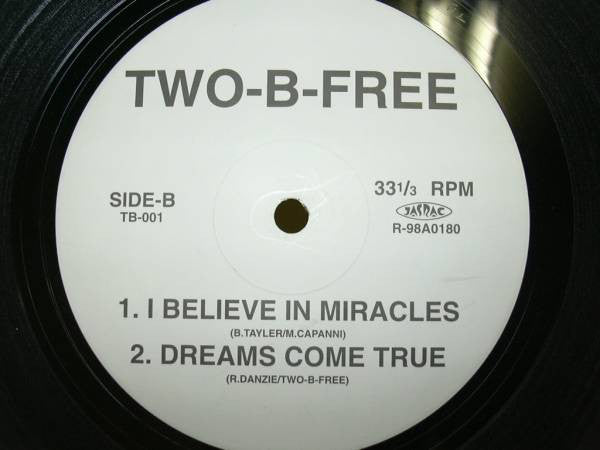 Two-B-Free : I Want Your Love (12")