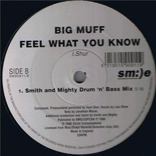 Big Muff : Feel What You Know (12")