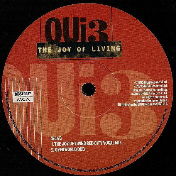 Oui 3 : The Joy Of Living (12", Single)