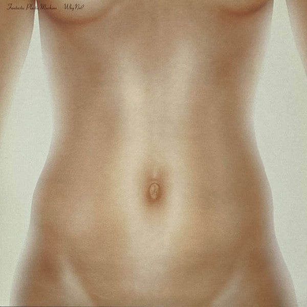 Fantastic Plastic Machine : Why Not (12")