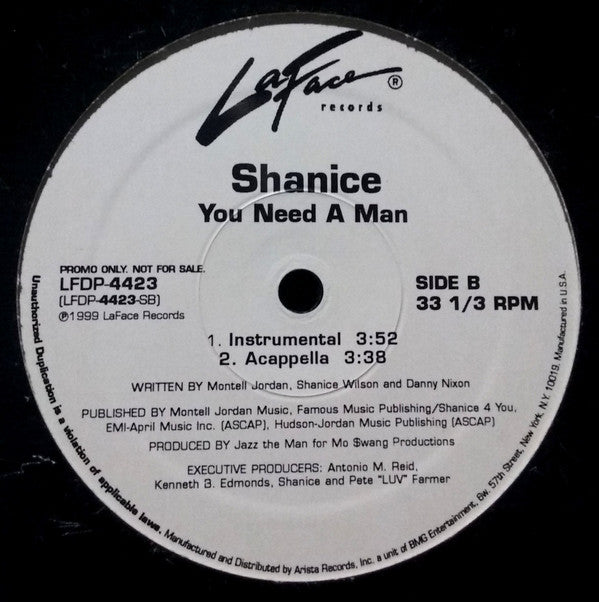 Shanice : You Need A Man (12", Promo)
