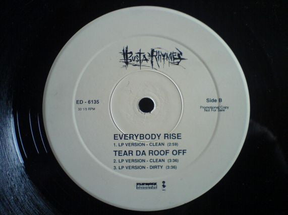Busta Rhymes : Party Is Goin' On Over Here (12", Promo)