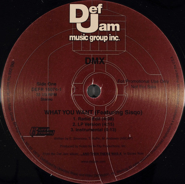 DMX : What You Want / Fame (12", Promo)