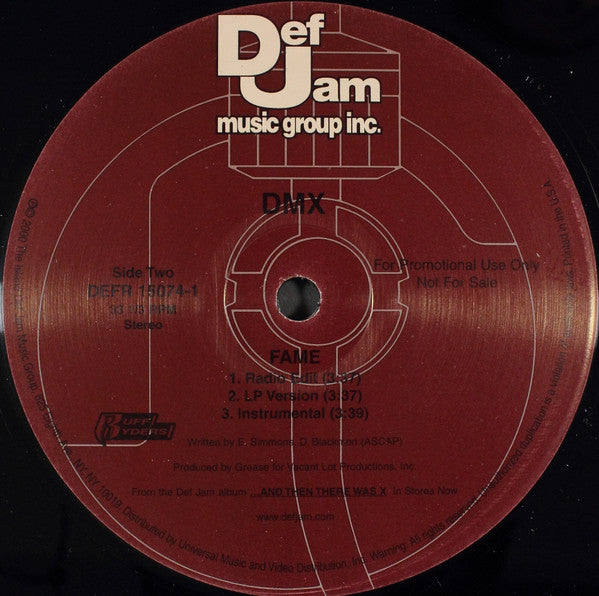 DMX : What You Want / Fame (12", Promo)