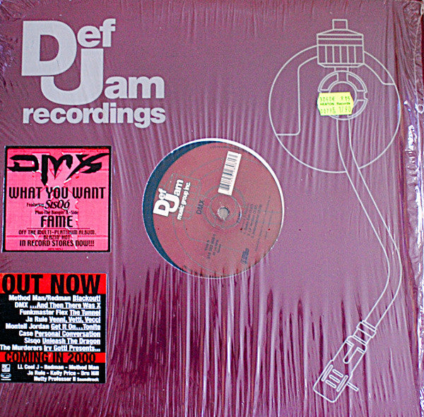 DMX : What You Want / Fame (12", Promo)