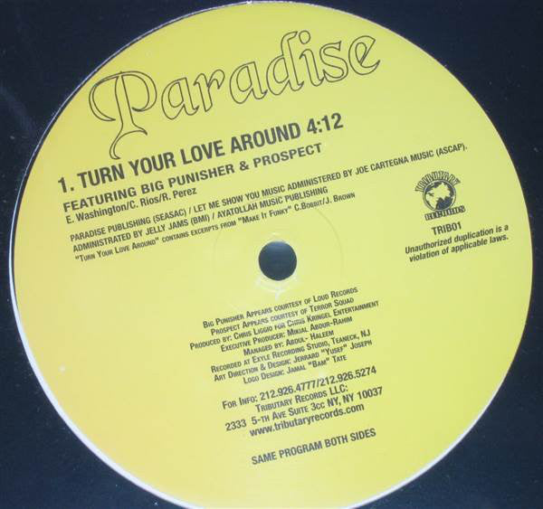 Paradise (26) : Turn Your Love Around (12")