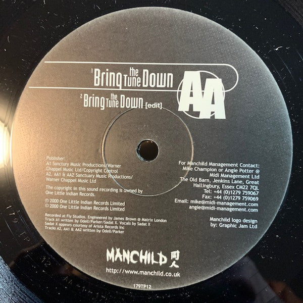 Manchild : Somethin' In My System / Bring The Tune Down (12")