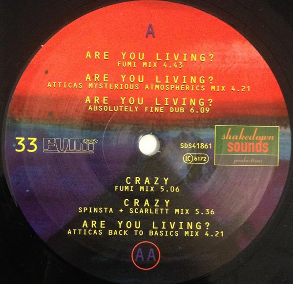Fumi : Are You Living? / Crazy (12")