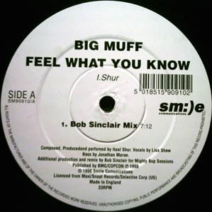 Big Muff : Feel What You Know (12")