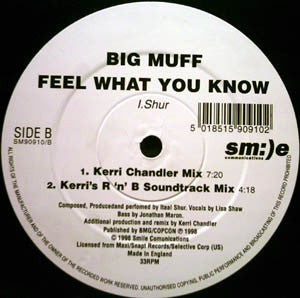 Big Muff : Feel What You Know (12")