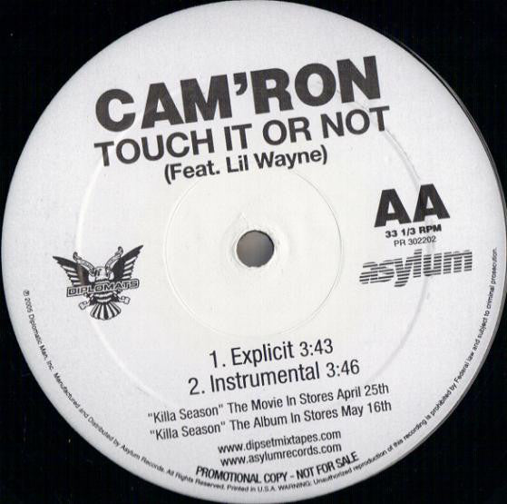 Cam'ron : Touch It Or Not (12", Promo)