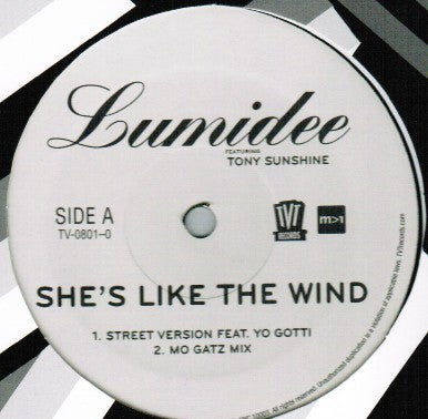 Lumidee Featuring Tony Sunshine : She's Like The Wind (12")