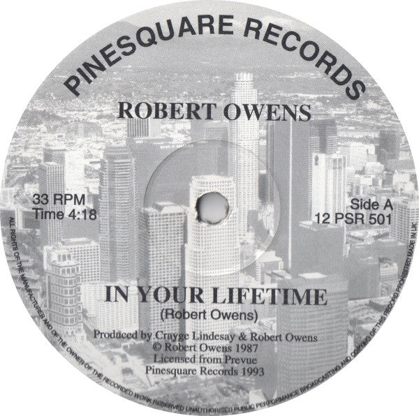 Robert Owens (2) / David McClendon / Reign (17) : In Your Lifetime / Paradise / Let Me (12")