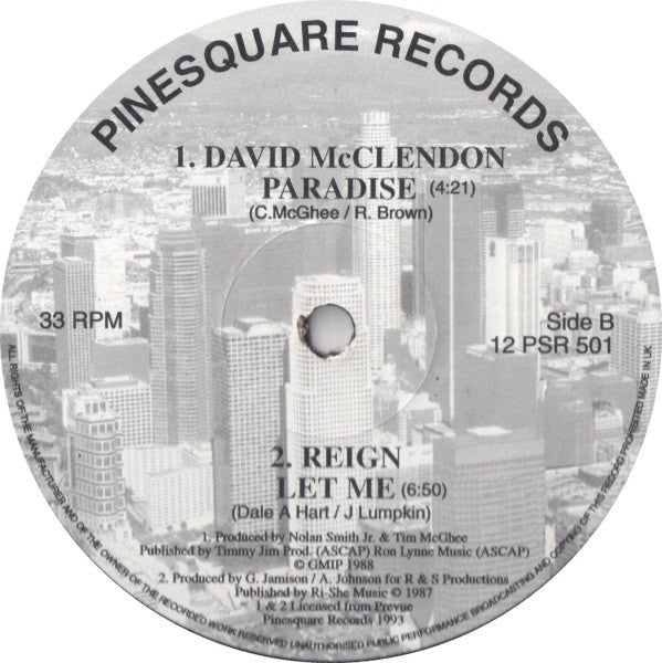 Robert Owens (2) / David McClendon / Reign (17) : In Your Lifetime / Paradise / Let Me (12")