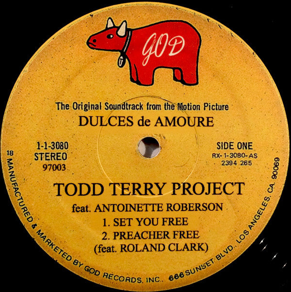 The Todd Terry Project : Set You Free (12")