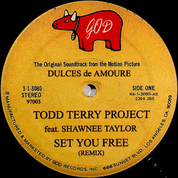 The Todd Terry Project : Set You Free (12")
