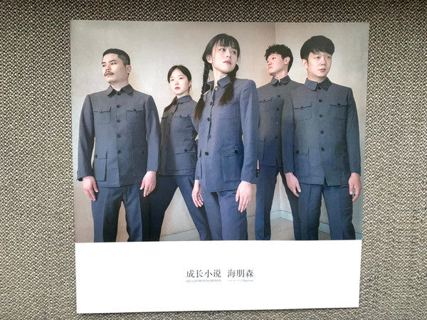 Hiperson = Hiperson = Hiperson : 成长小说 = 成長小説 = Bildungsroman (LP, Album, Ltd, RE, 1st)