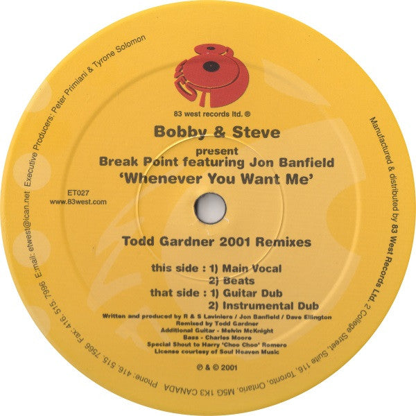 Bobbi & Steve Present Break Point Featuring Jon Banfield : Whenever You Want Me (Todd Gardner 2001 Remixes) (12")
