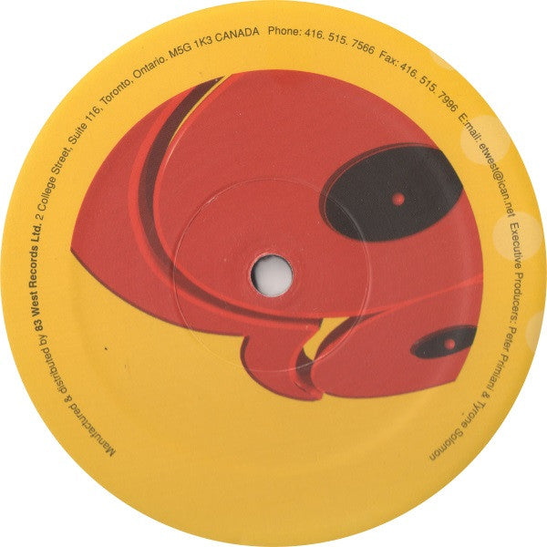 Bobbi & Steve Present Break Point Featuring Jon Banfield : Whenever You Want Me (Todd Gardner 2001 Remixes) (12")