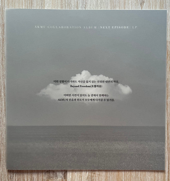 Akdong Musician : Next Episode (Box, Ltd + 12", EP, Pic)