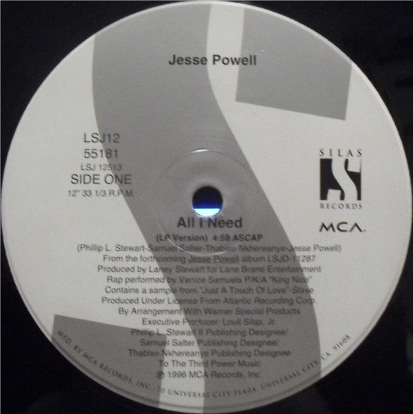 Jesse Powell : All I Need (12", Single)