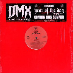 DMX : We In Here (12")