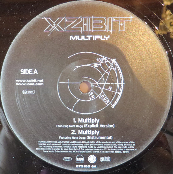 Xzibit : Multiply (12")