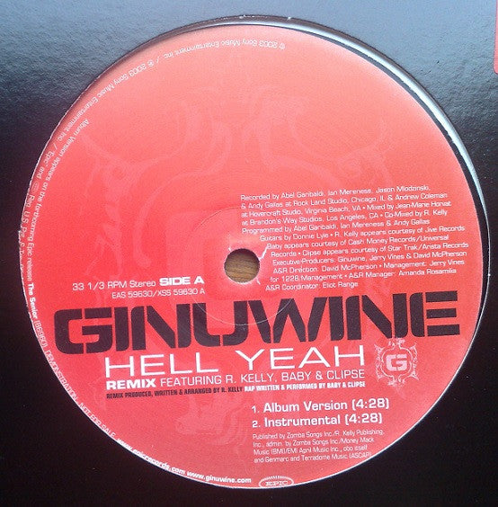 Ginuwine : Hell Yeah (Remix) (12", Promo)