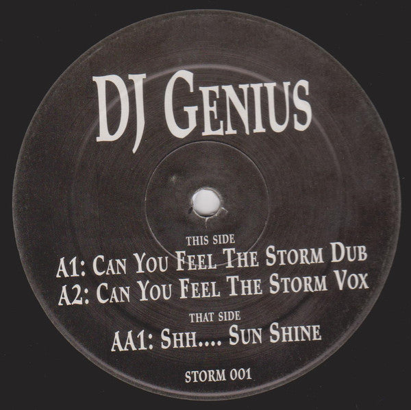 DJ Genius (2) : Can You Feel The Storm (12", Promo, Unofficial)