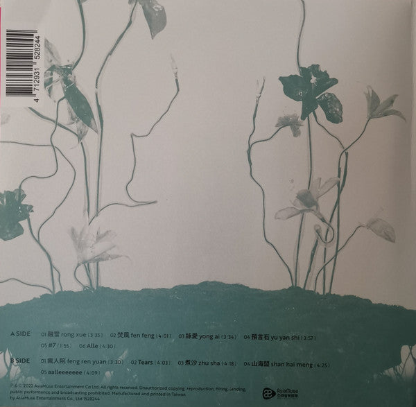 Faye (9) : Faye詹雯婷 在雲彩上跳舞 嘰嘰喳喳 (LP, Album, Ltd, Pin)