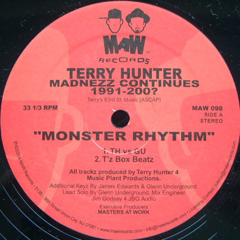 Terry Hunter : Madnezz Continues 1991-200? (12")