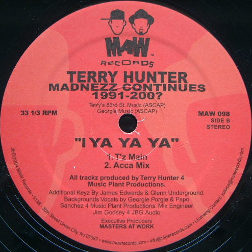 Terry Hunter : Madnezz Continues 1991-200? (12")