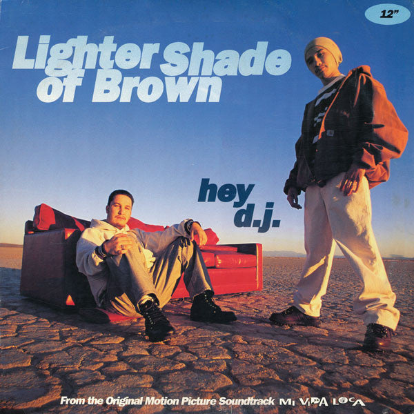 Lighter Shade Of Brown : Hey D.J. (12", RE)