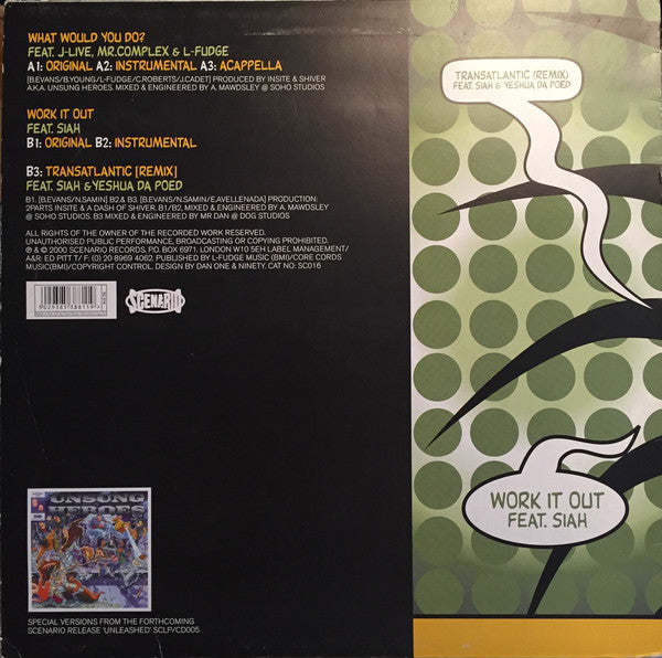 Unsung Heroes : What Would You Do? (12")