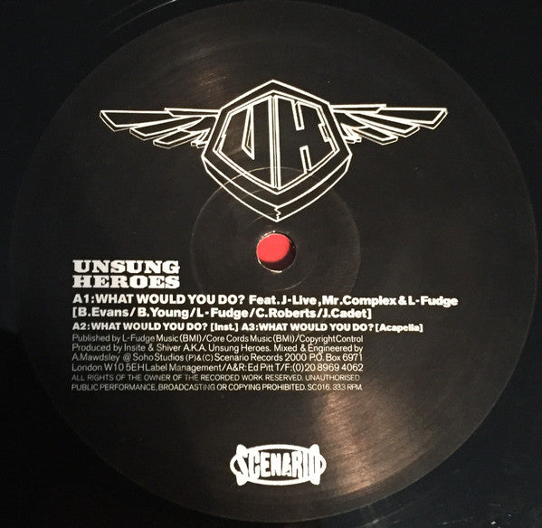 Unsung Heroes : What Would You Do? (12")
