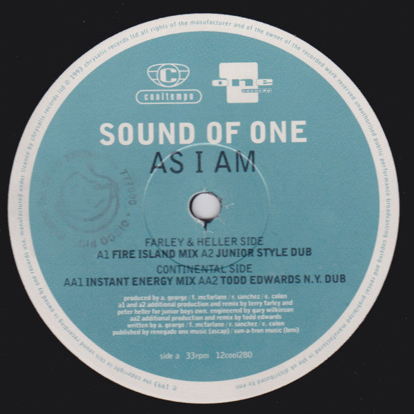 Sound Of One : As I Am (12", Single)