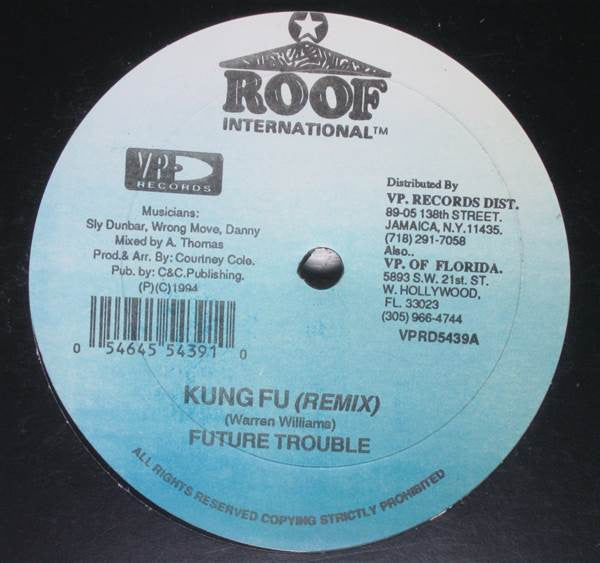 Future Troubles : Kung Fu (Remix) / Gal A Tek (12")