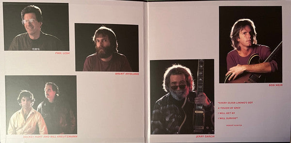 The Grateful Dead : In The Dark (LP, Album, Club, Ltd, RE, RM, Blu)