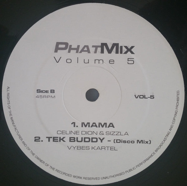 Various : PhatMix (Volume 5) (12", Unofficial)