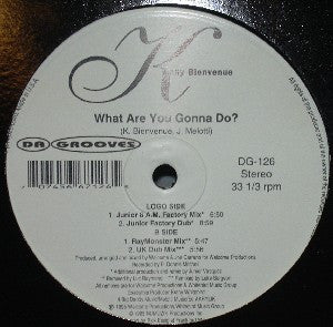Kelly Bienvenue : What Are You Gonna Do? (12")