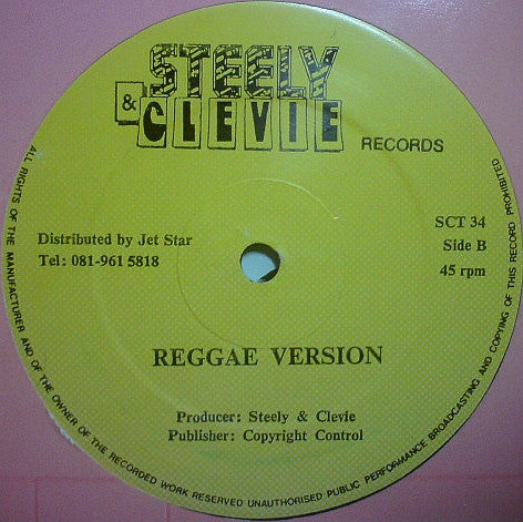 Tony Rebel : Reggae On Top (12")